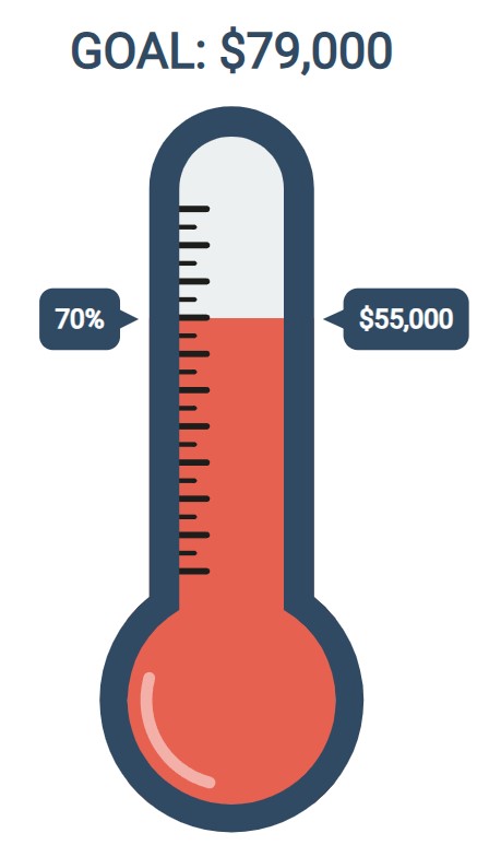 https://www.causevox.com/fundraising-thermometer/